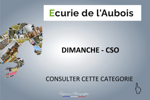 CSO - Ecuries de l'Aubois - 17/04/2022