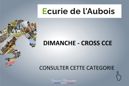 CROSS CCE - La Guerche - 13/03/2022