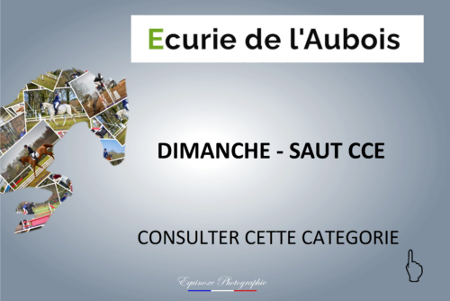 SAUT CCE - La Guerche - 13/03/2022