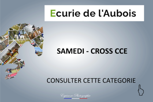 CROSS CCE - Ecuries de l'Aubois - 16/04/2022