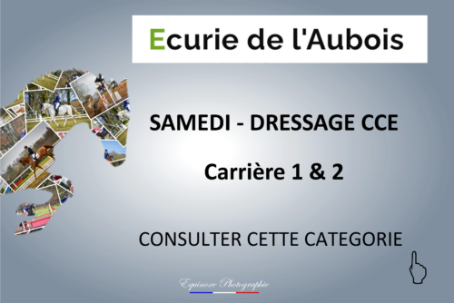 DRESSAGE CCE - Ecuries de l'Aubois - 16/04/2022