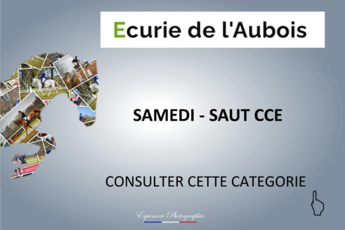 SAUT CCE - Ecuries de l'Aubois - 16/04/2022