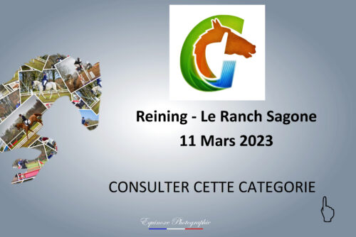 Reining - Le Ranch Sagone - 11/02/2023