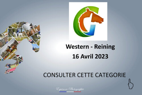 Western - Reining - Le Ranch Sagone - 16/04/2023