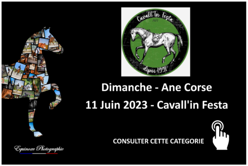 Âne Corse - Cavall'in Festa - 11/06/2023
