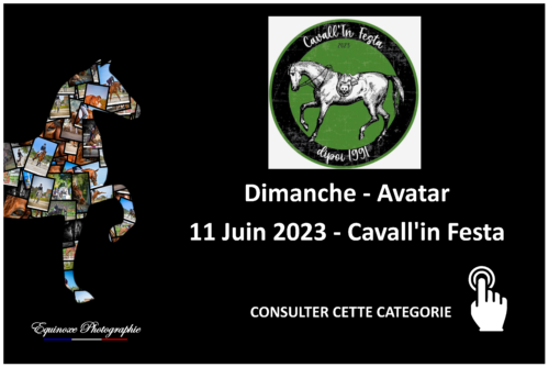 Avatar - Cavall'in Festa - 11/06/2023